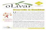 Olivar 2015-48