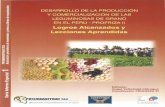 Desarrollo de la Producción y Comercialización de las leguminosas de grano en el Perú - PROFRIZA II