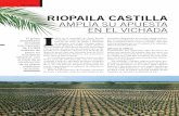 Revista Núm. 254 - Industria - Riopaila