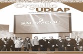 Orgullo UDLAP Febrero 2016