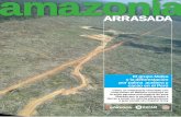 Amazonía arrasada