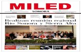 miled SONORA 20/03/2016