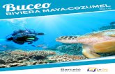 Buceo Riviera Maya-Cozumel 2016
