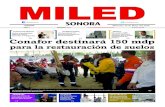 Miled Sonora 25-05-16