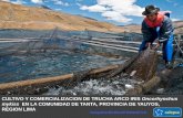 PDS 2012 - Compañía Eléctrica El Platanal - Cultivo y comercialización de truchas