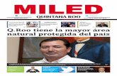 Miled Quintana Roo 30 05 16