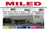 Miled Aguascalientes 09 06 2016