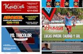 Revista Brown de Adrogue - Numero 4 - 2016