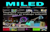 Miled Sonora 01 07 16