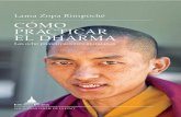 Cómo practicar el dharma