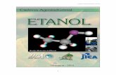 Cadena Agroindustrial –Etanol