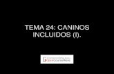 TEMA 24: CANINOS INCLUIDOS (I).
