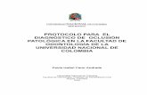 protocolo para el diagnóstico de oclusión patológica en la facultad ...