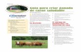 Guía para criar ganado de carne saludable