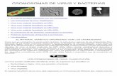 03-Cromosomas de virus y bacterias.pdf