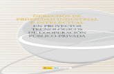 Derechos de Propiedad Industrial e Intelectual en Proyectos ...