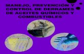 Instructivo de manejo y prevención de derrames de Químicos ...