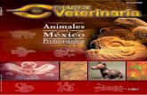 Los animales en el México Prehispánico