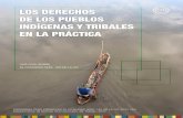 Los Derechos de los Pueblos Indigenas y Tribales en la Practica