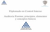 Diplomado en Control Interno Auditoria Forense, principios ...