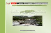 Estudio diagnóstico hidrológico de la cuenca Madre de Dios