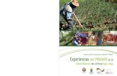 Experiencias del PROAGRO en la diversificación de cultivos bajo ...