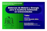 Balances de Materia y Energía para la Auditoría Ambiental en