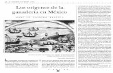 Los orígenes de la ganadería en México