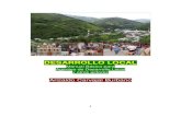 Desarrollo local: manual básico para agentes de desarrollo local y ...
