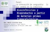 Biorrefinerías y Bioproductos a partir de materias primas ...