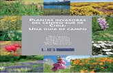 Plantas invasoras del centro-sur de Chile: una Guía de Campo