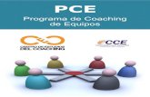 Programa de Coaching de Equipos