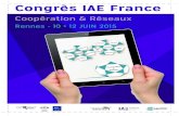 Congrès IAE FRANCE 2015