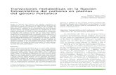 Transiciones metabólicas en la fijación fotosintética del carbono en ...