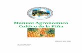 Manual Agronómico Cultivo de la Piña