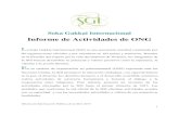 Informe de Actividades de la SGI 2013, en calidad de ONG