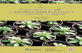 Importancia del pH y la Conductividad Eléctrica (CE)