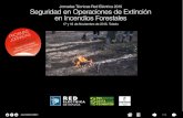 Seguridad en Operaciones de Extinción en Incendios Forestales