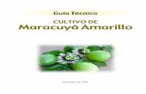 Guía Técnica. Cultivo de Maracuyá Amarillo. CENTA, Centro ...