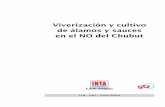 Viverización y cultivo de álamos y sauces en el NO del Chubut
