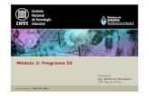 Módulo 2 - Programa 5S.pdf