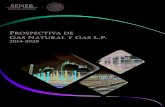 Prospectiva de Gas Natural y Gas L.P.