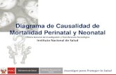 Diagrama de Causalidad de Mortalidad Perinatal y Neonatal