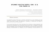 Inmunización de la Guadua - Jaime Salazar - Gustavo Díaz