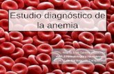 Estudio Diagnóstico De La anemia - AGHH