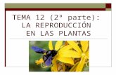 TEMA 13: LA REPRODUCCIÓN EN LAS PLANTAS