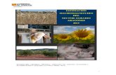 Macromagnitudes del Sector Agrario Aragonés 2015