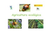 Curso de Agricultura Ecológica.