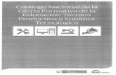Catálogo nacional de la oferta formativa de la Educación Técnico ...