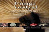 Fungi Austral. Guía de Campo de los hongos más vistosos de Chile.